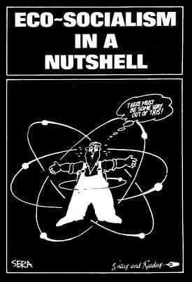 Ecosocialism-Nutshell Cover-small