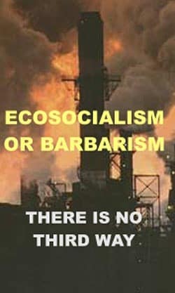 Ecosocialism or Barbarism: There is No Third Way