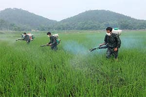 Pesticide Sparyers