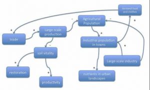 Metabolic rift examples picture