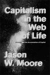 Moore - Capitalism in the Web